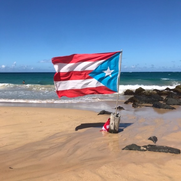 Meet your Posher, Lane - Picture 4 of 6